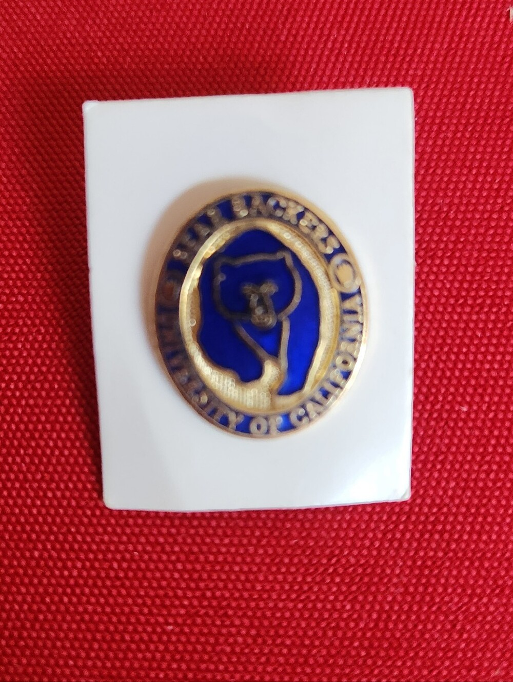 UC Berkeley pin with blue bear head and gold text reading 'BEAR BACKERS'